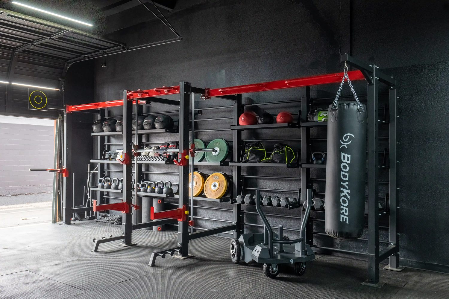 Wall storage rig holding plates, medicine balls and accessories